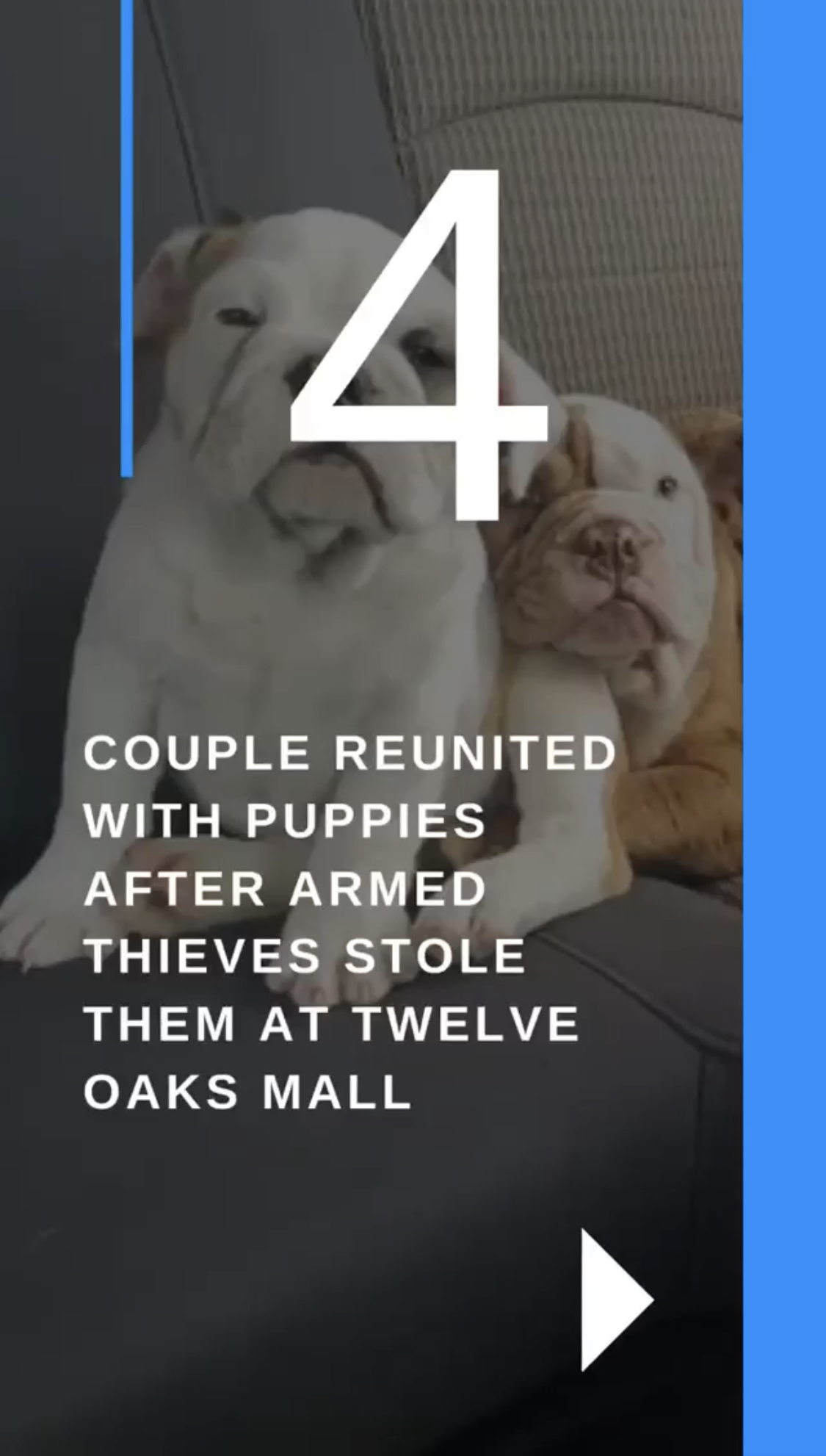 Couple reunited with puppies after armed thieves stole them at 12 oaks mall